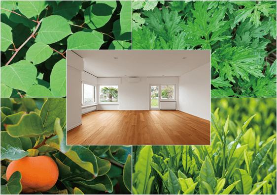 室内コーティング サトヤマコート